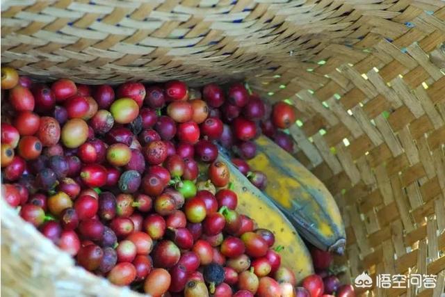 去云南，有什么好吃的推薦？